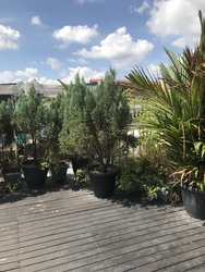 Seletar Hills Estate (D28), Terrace #214957991